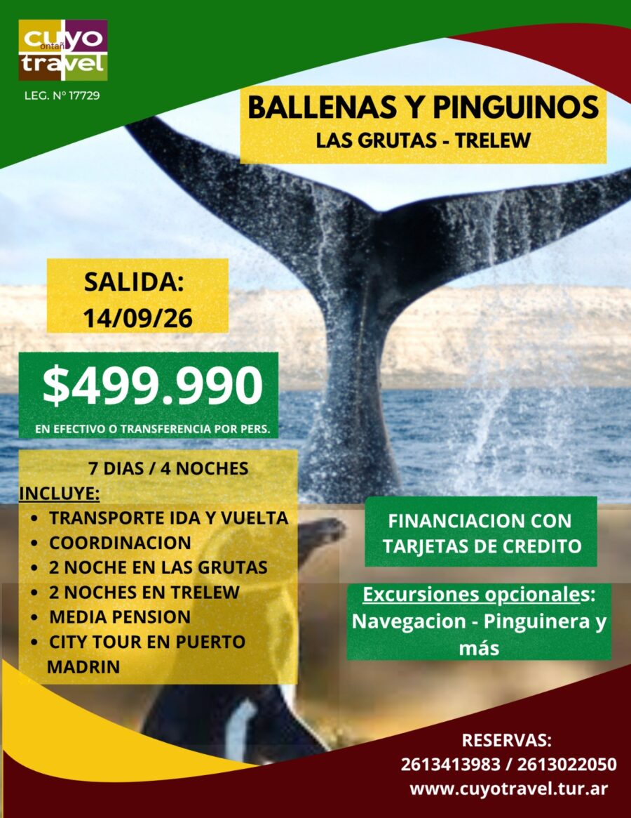 BALLENAS Y PINGUINOS